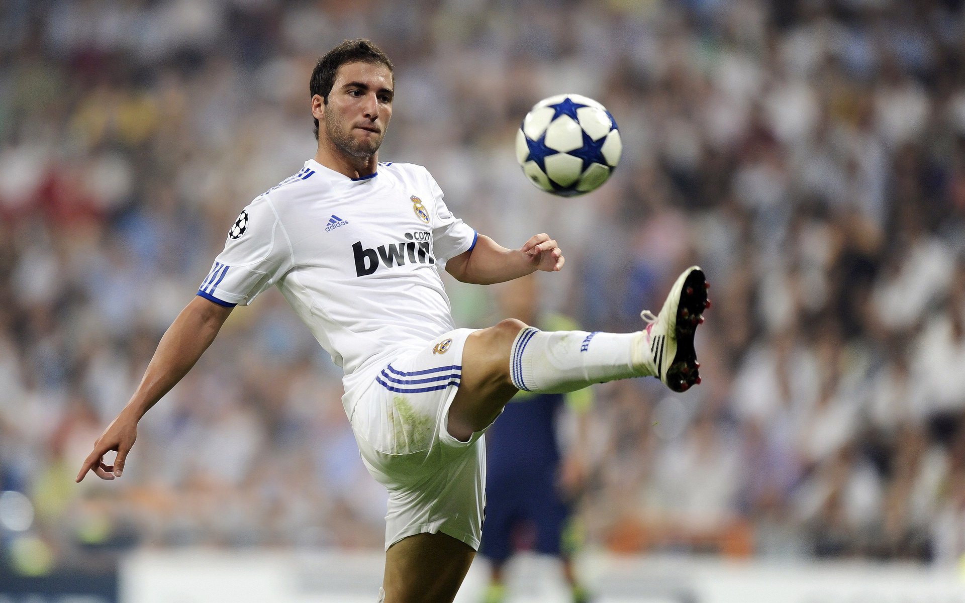 金玟哉的统治艺术,当伊拉克防线在巴西风暴中筑起长城